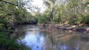 Image is of the Wakarusa River with tree lined shores and blue sky