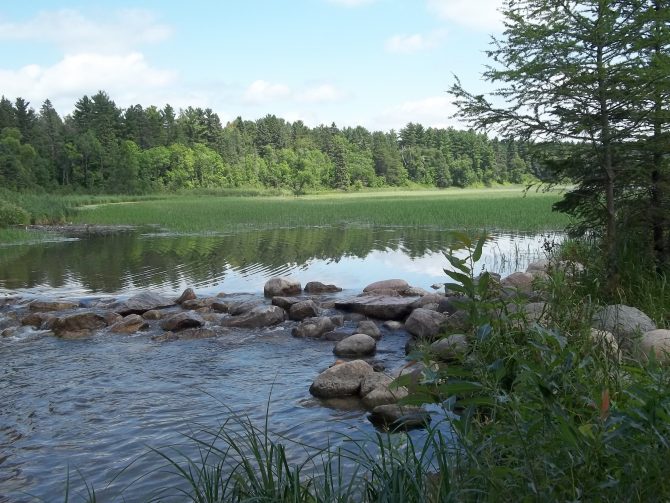 Image is of clear river water with small boulders and evergreen trees at the headwaters of the Mississippi River at Lake Itaska in Minnesota