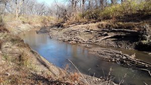 Image is of a beautiful, calm, and natural river scene with undulating hills, trees and shrubs on the banks